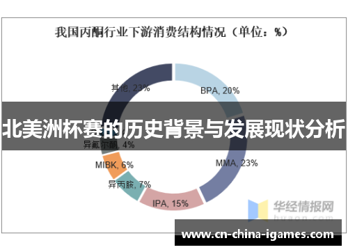 北美洲杯赛的历史背景与发展现状分析