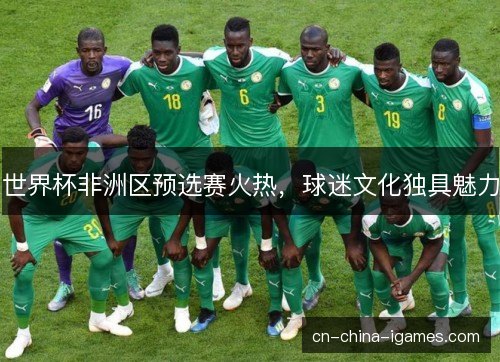 世界杯非洲区预选赛火热，球迷文化独具魅力